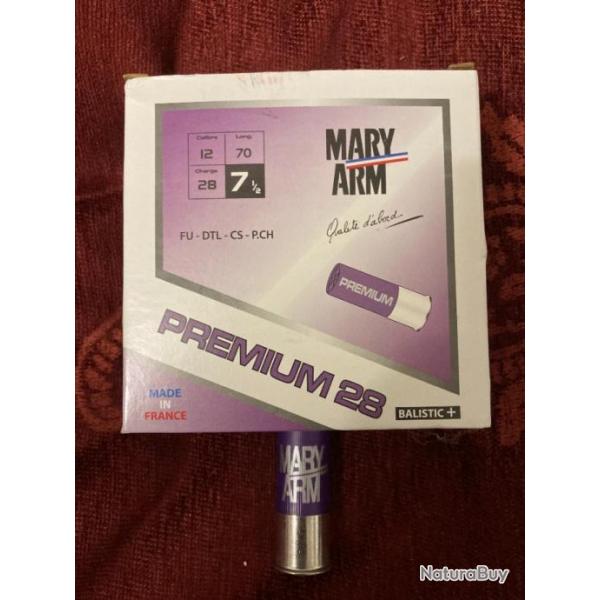 250 Mary Arm Premium