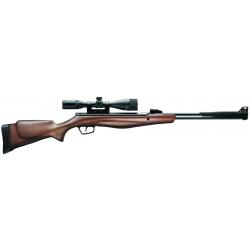 CARA AIR STOEGER RX40 BOIS COMBO 3-9X40 CAL4.5 19.9J RX405003G