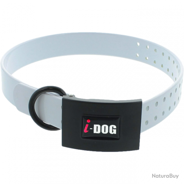 Collier I-Dog Premium - Blanc