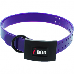 Collier I-Dog Premium - Violet