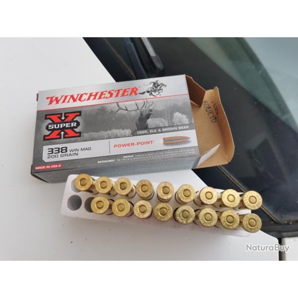 17 munitions winchester 338