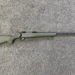 Carabine HOWA 1500 Green Calibre 300 Win Mag