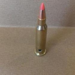 UNE  cartouche cal.17 HORNET NEUTRALISEE BALLE V-MAX HORNADY