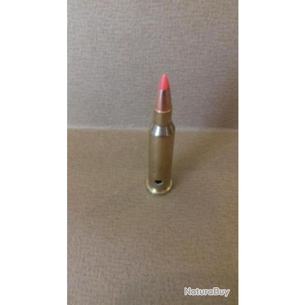 UNE  cartouche cal.17 HORNET NEUTRALISEE BALLE V-MAX HORNADY