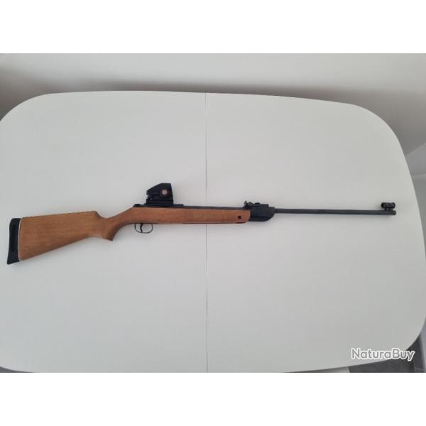 Carabine a plomb Diana 34 avec lunette