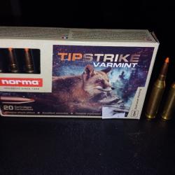 22 Norma tipstrike varmint 243 win