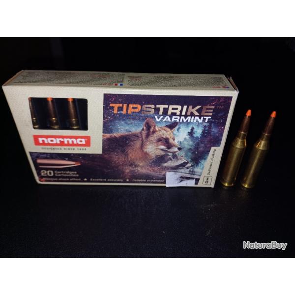 22 Norma tipstrike varmint 243 win