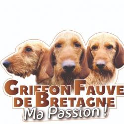 Autocollant "Griffon Fauve de Bretagne" - Adhésif polymère pour véhicule - Dimensions ; 20 cm x 14 c