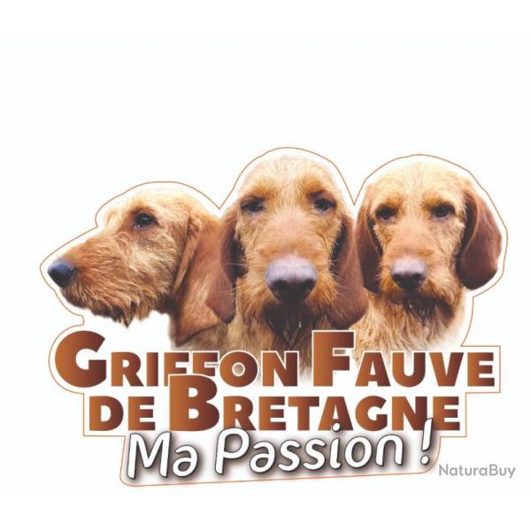 Autocollant "Griffon Fauve de Bretagne" - Adhsif polymre pour vhicule - Dimensions ; 20 cm x 14 c