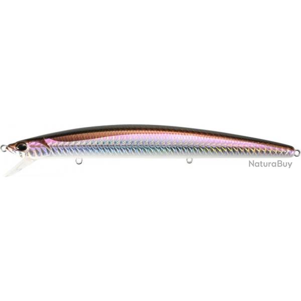 TIDE MINNOW LANCE 160S AFA0116 LANCE QUEEN