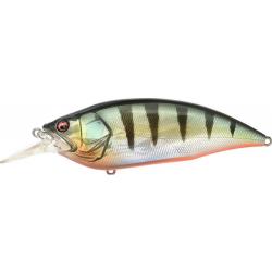 BIG M 4.0 GG RED FIN PERCH (SP C)