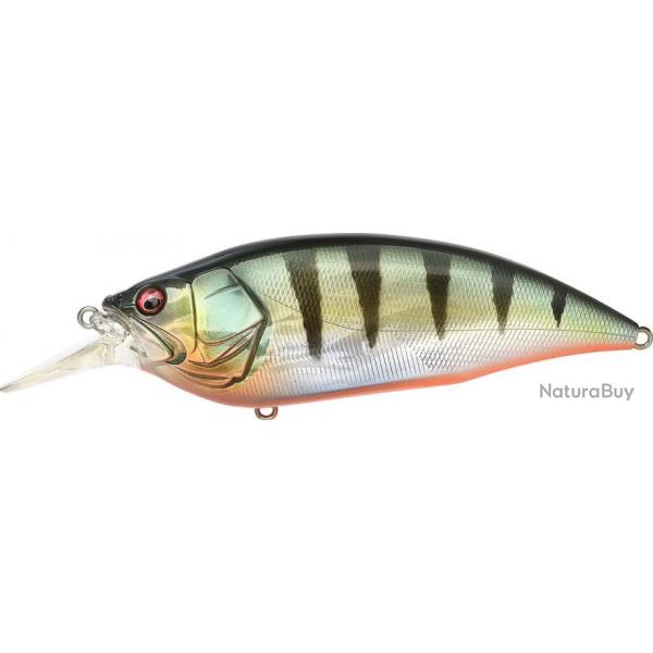 BIG M 4.0 - GG RED FIN PERCH (SP-C)