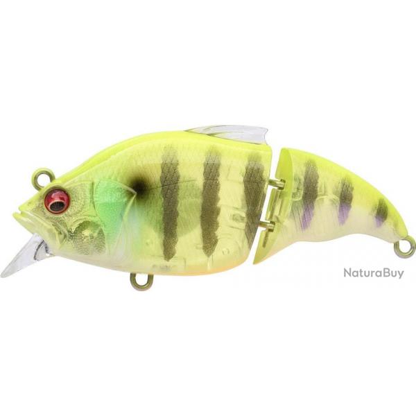 VIBRATION X VATALION SS GP SEE THROUGH CHART GILL (SP C)