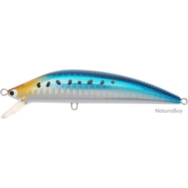 K TEN BLUE OCEAN S [BKS] 115 - 111 SARDINE