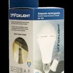 AMPOULE RECHARGEABLE FOXLIGHT