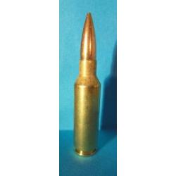 UNE!!!  CARTOUCHE cal. 300 REMINGTON SHORT ACTION ULTRA MAGNUM