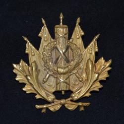 RARE INSIGNE DE SHAKO OU KEPI 1886 SERVICE DE L'INTENDANCE-EPOQUE 1880/1900-GUERRE 1914/1918.