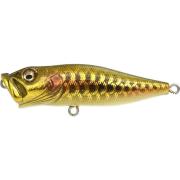 Leurre Megabass Pop X Couleur Limitée Dragon