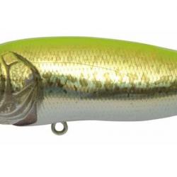 Leurre MEGABASS Pop Max GG CHART BACK BASS