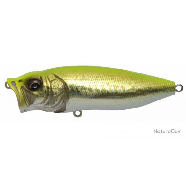 Leurre MEGABASS Pop Max GG CHART BACK BASS