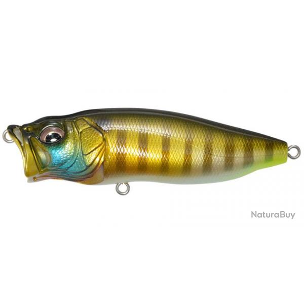 Leurre MEGABASS Pop Max PM WILD GILL