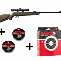 Pack Carabine Gamo Big Cat 1000E Barricade 19,90 Joules Avec Cibles, plombs