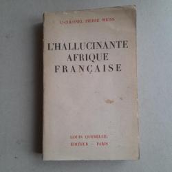 L'hallucinante Afrique française - Roman d'aventures, 1934