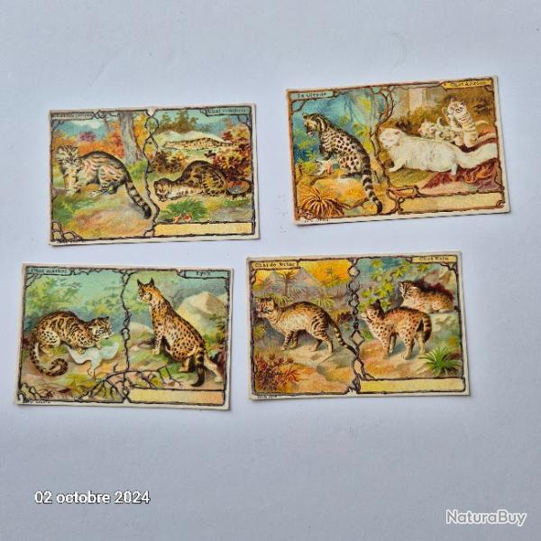 Lot de 4 images Leroux Bonzel sur les chats et des flins