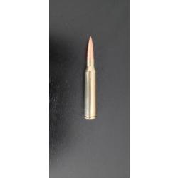 Cartouche .338 Lapua Magnum neutralisée