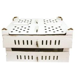 Lot de 25 boîtes transport poussins carton empilables 46 X 60 X 12 cm