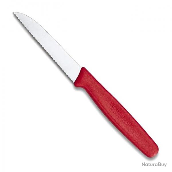 Couteau office lame crante rabattue 8 cm [Victorinox]