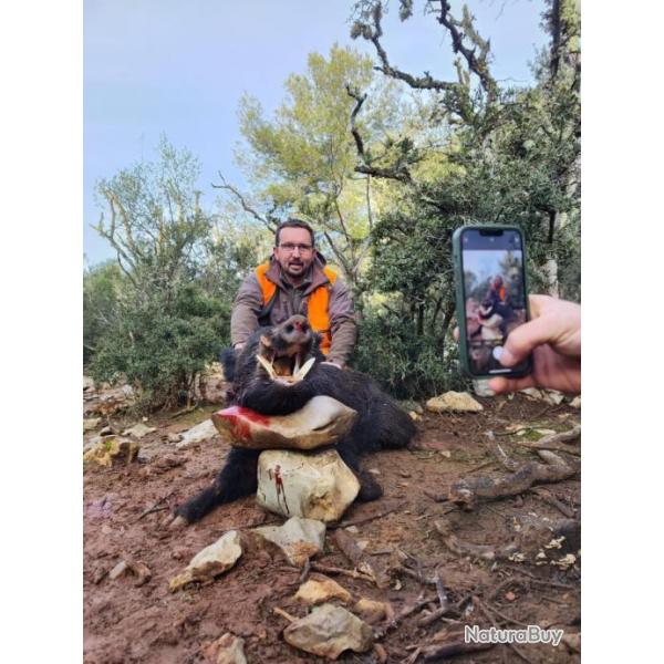 Sjour de chasse en Espagne / B Safaris