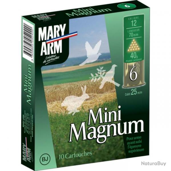 Boite de 10 cart MINI MAGNUM 12/70 pb 2 (Taille 2)