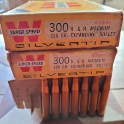 Munitions 300 holland/holland magnum