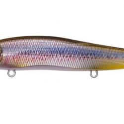 Leurre MEGABASS Vision 110 FW FA GHOST KAWAMUTSU