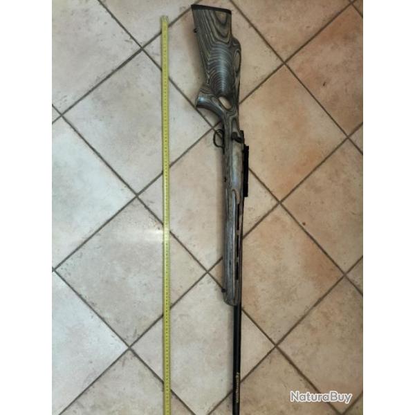 Carabine varmint 22/250