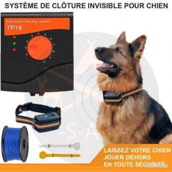 PACK ANTI-FUGUE POUR CHIEN COLLIER ET CLÔTURE ÉLECTRIQUE 5 MODES DE STIMULATION