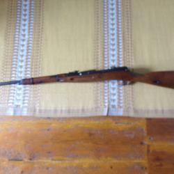 Mosin Nagant 22 lr