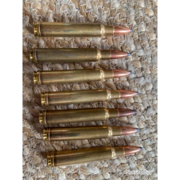 7 balles de 340 Weatherby Magnum