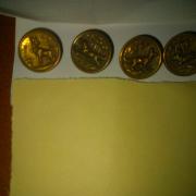ANCIEN BOUTON . CHASSE VENERIE. SANGLIER MARCASSIN. 16 MM