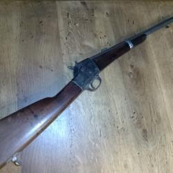 carabine remington s ilion