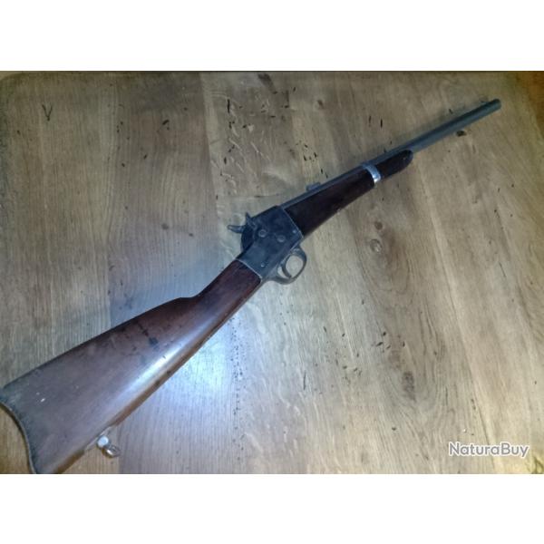 carabine remington s ilion