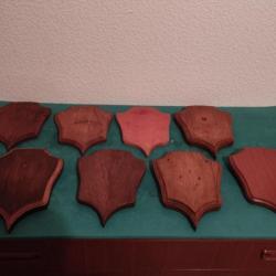 LOT DE 8 ECUSSONS BOIS SIMILAIRES 21x17CM POUR TROPHEES CHASSE CHEVREUIL CHAMOIS TAXIDERMIE