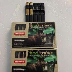 Balles 338 Win Mag Ecostrike