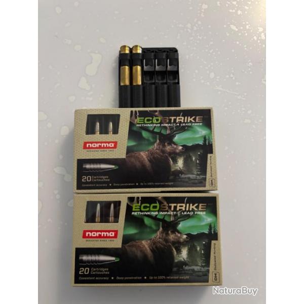 Balles 338 Win Mag Ecostrike