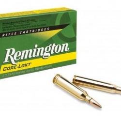 Munitions REMINGTON 243 Win 100grains Core-Lokt PSP