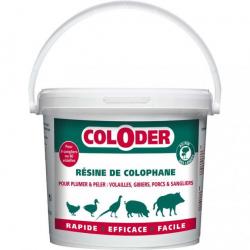 PROMO Coloder seau de 3,50 kg