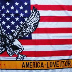 DRAPEAU  USA / AIGLE LOVE