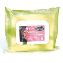 PROMO Easy shine whipe