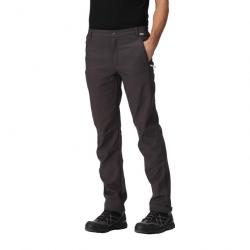 Geo Softshell Trousers II Gris